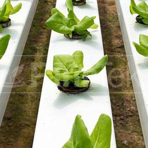 School Hydroponic Project Package - NFT System