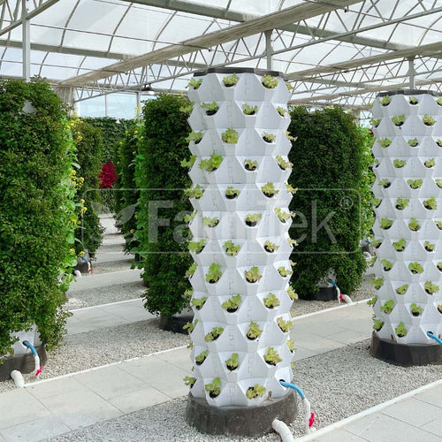 School Hydroponic Project Package - Single Tower System