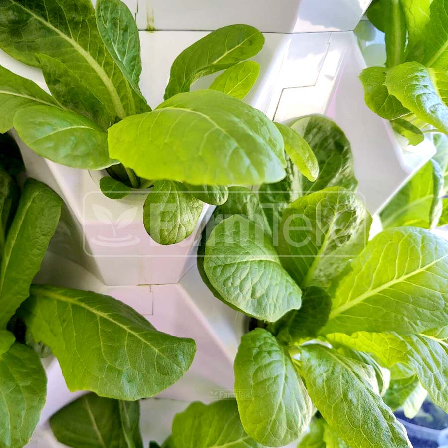 Farmtek Hydroponic Tower Vertical Farming Aeroponic Tower (HT864)
