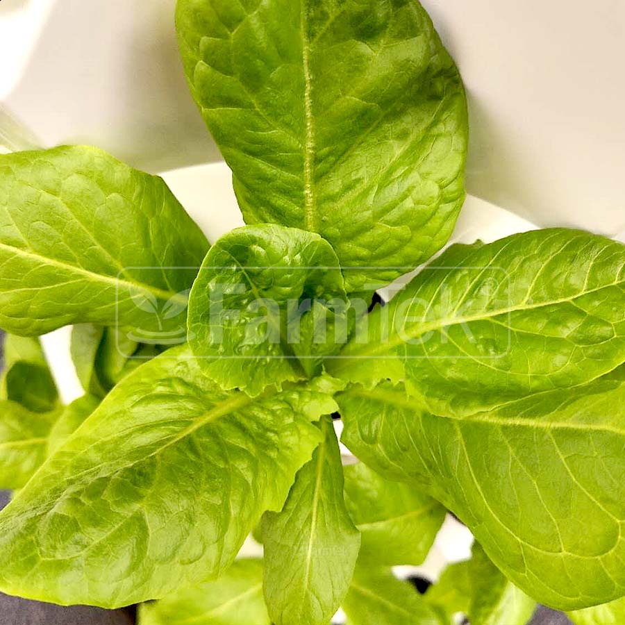 Farmtek Hydroponic Tower Vertical Farming Aeroponic Tower (HT864)