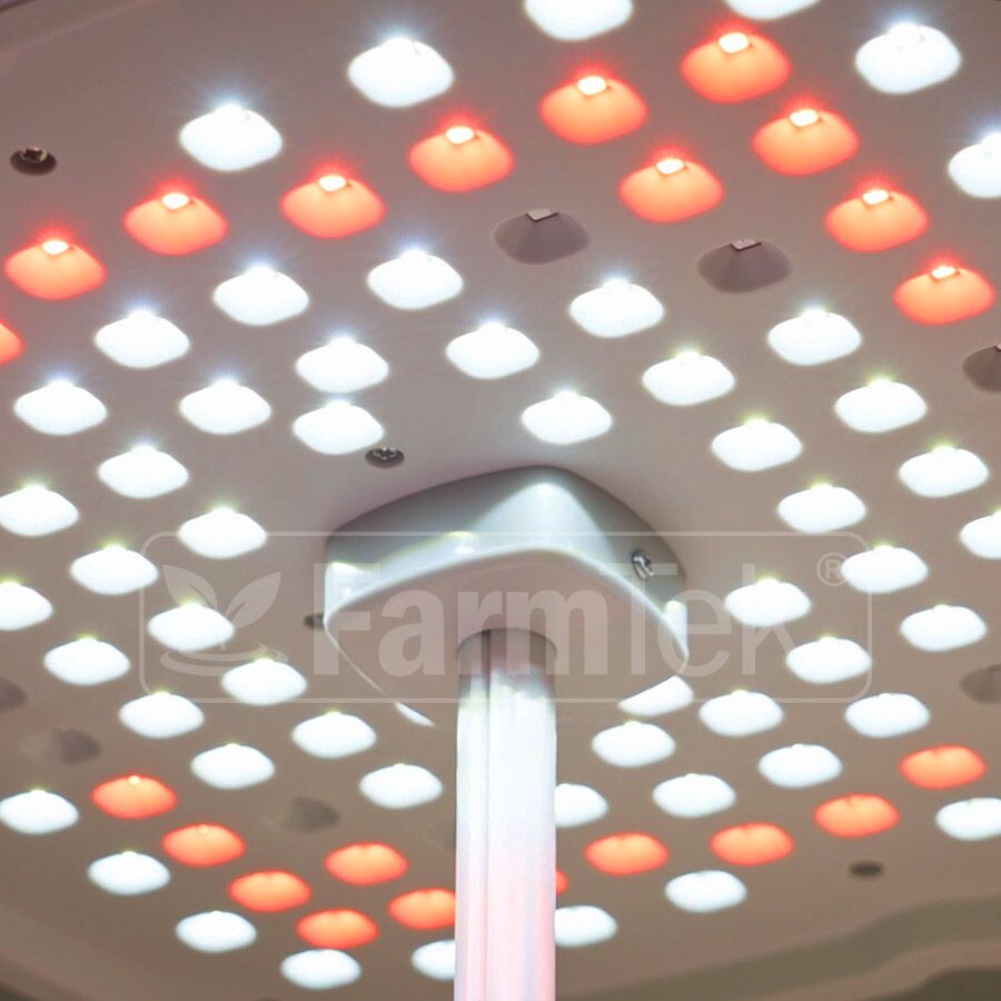 Farmtek Indoor Desktop Hydroponic System Kit Adjustable LED Grow Lights (DT8)